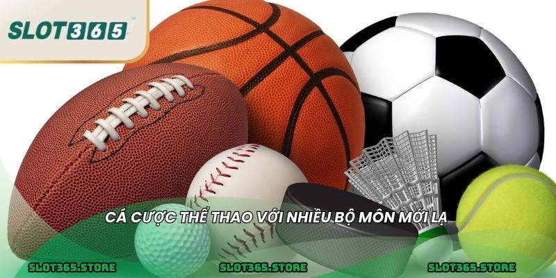 Cá cược thể thao với nhiều bộ môn mới lạ 