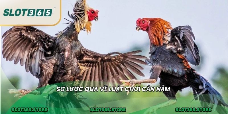 Sơ lược qua về luật chơi cần nắm 