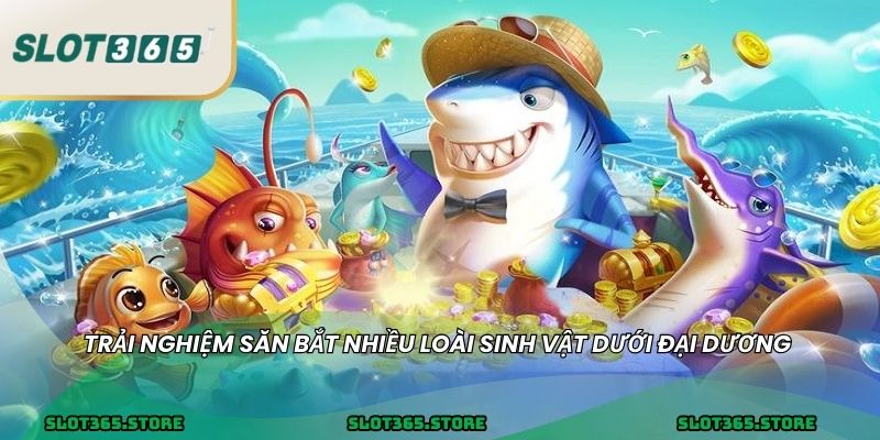 Trải nghiệm săn bắt nhiều loài sinh vật dưới đại dương 
